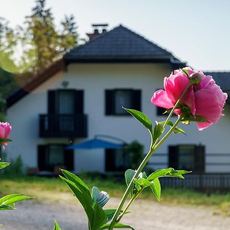 Apartments Zakrasnik Škofja Loka Eksteriør bilde