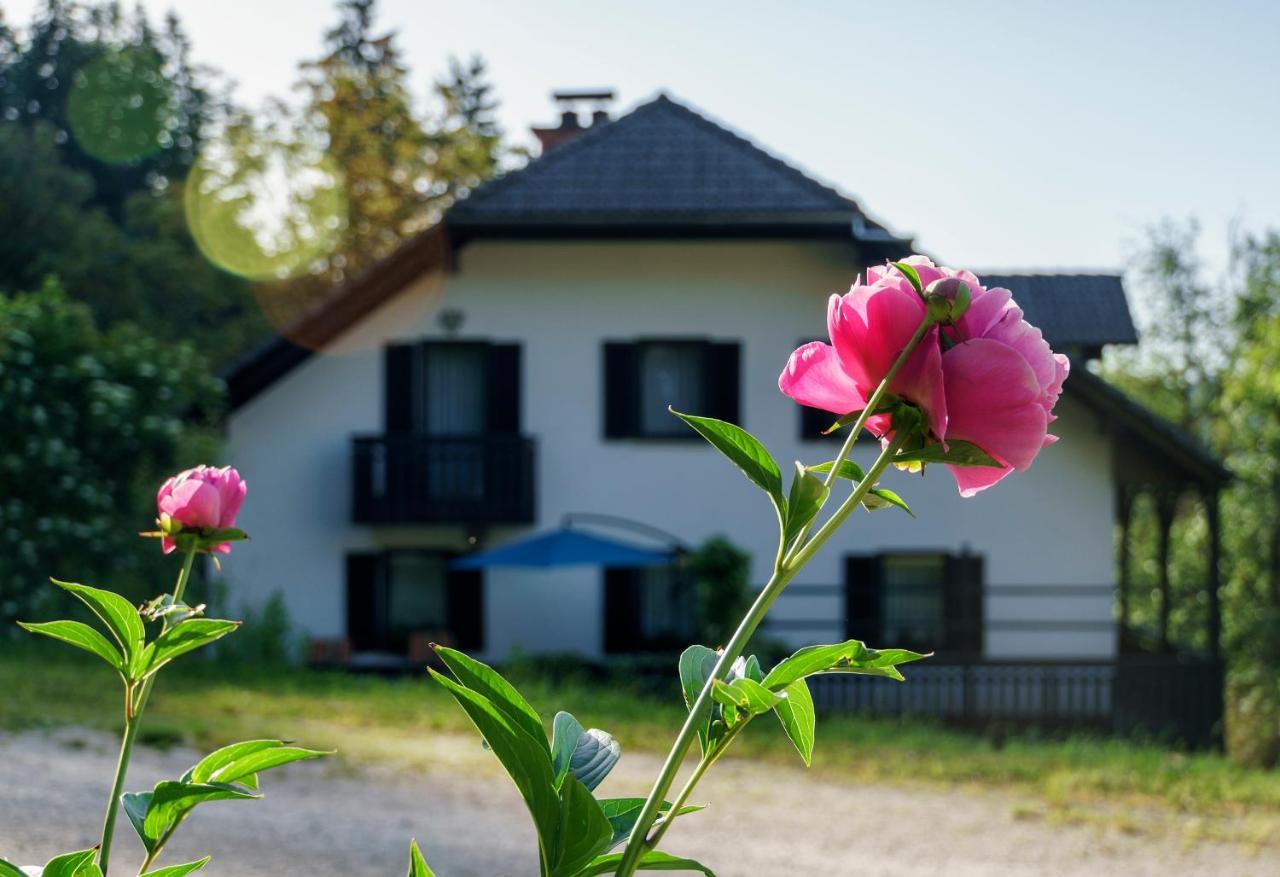 Apartments Zakrasnik Škofja Loka Eksteriør bilde