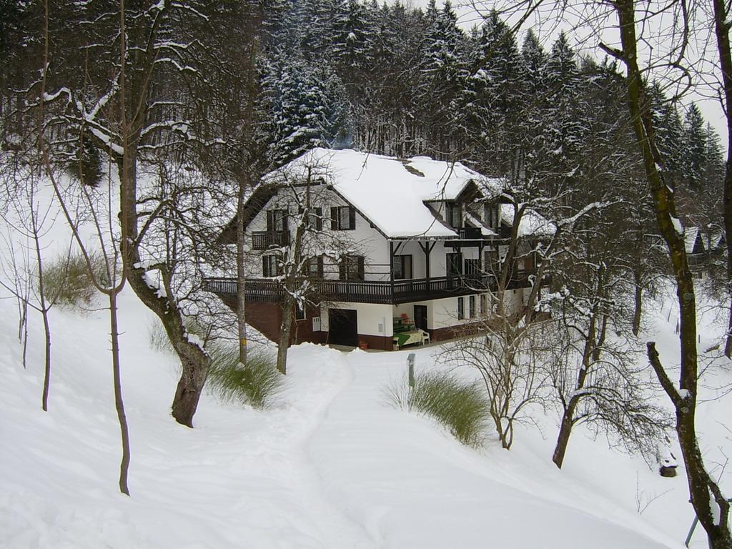 Apartments Zakrasnik Škofja Loka Rom bilde